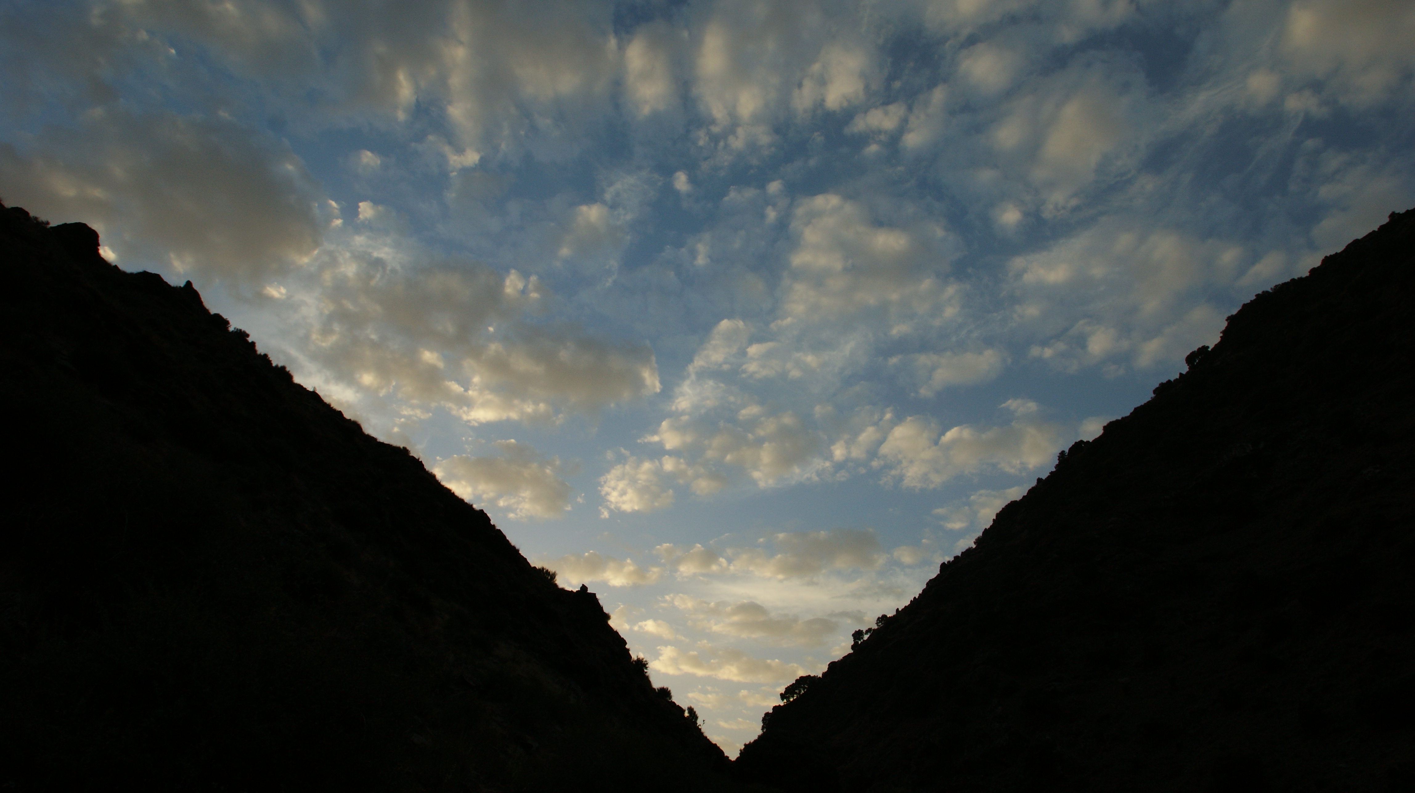 SONY DSC