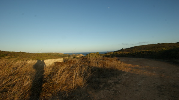 SONY DSC