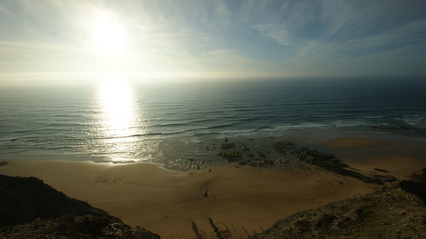 SONY DSC