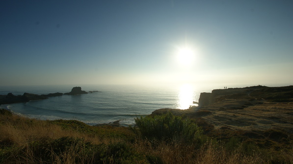 SONY DSC