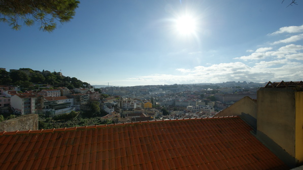 SONY DSC