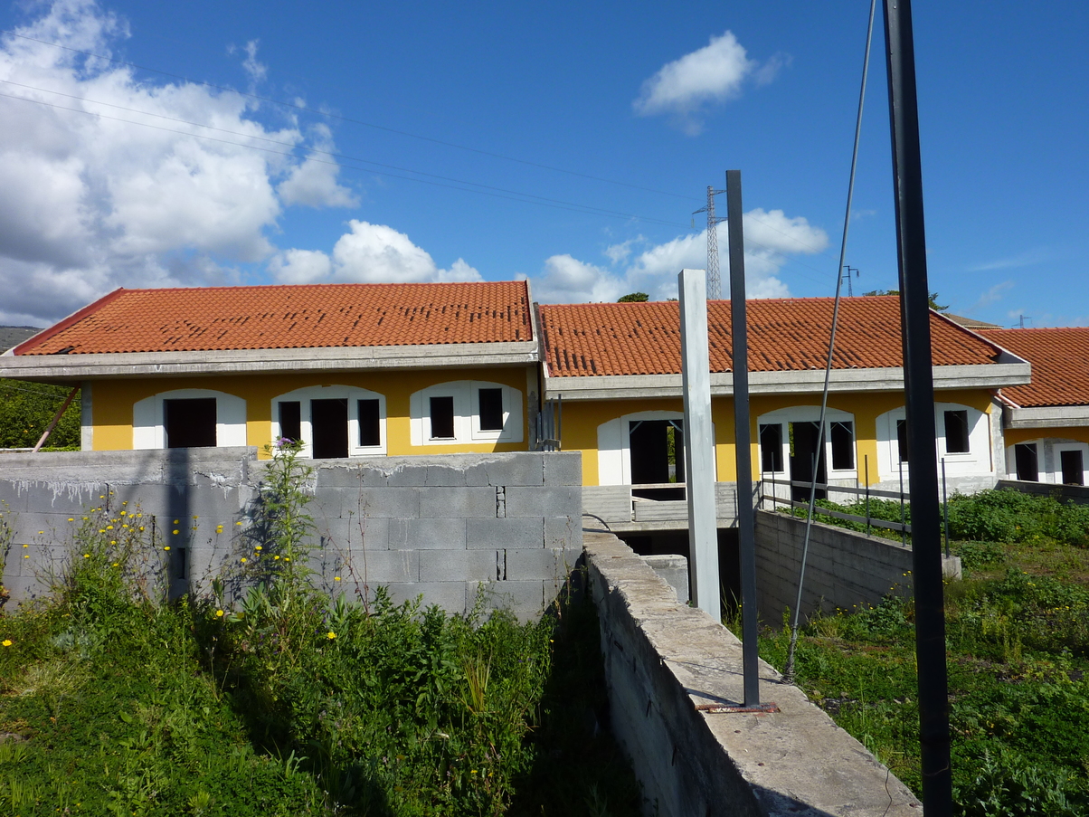 small-P1060256