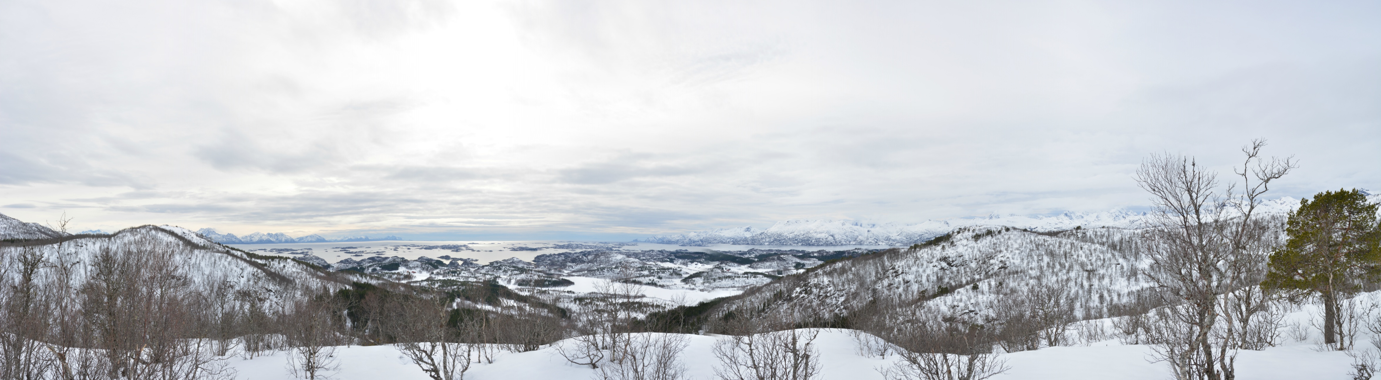 Lofoten
