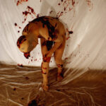 Bloody Action