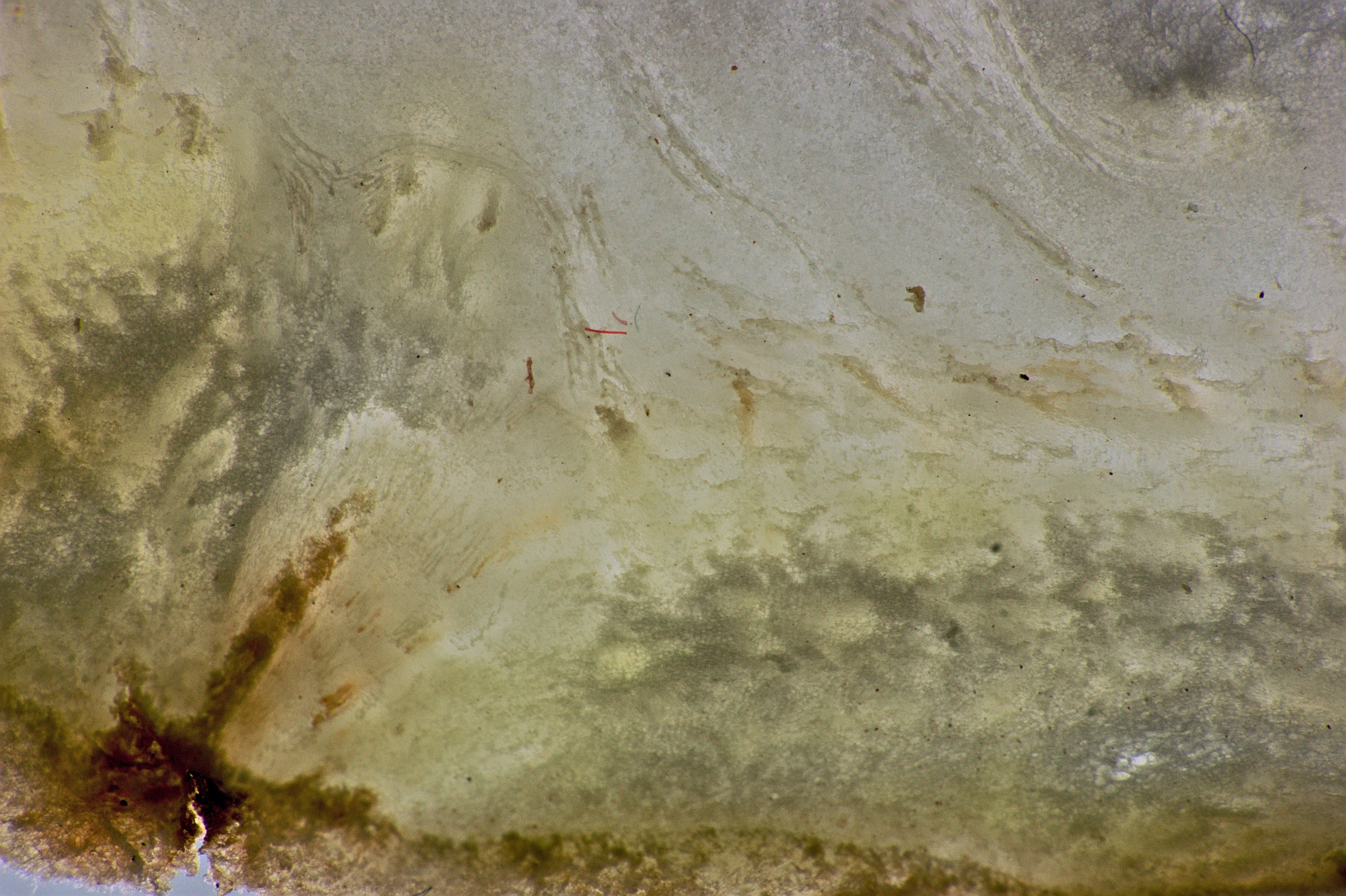 DSC05541